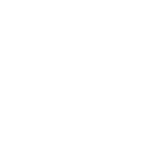 Logo NextOp